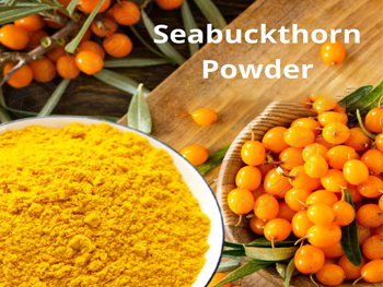 What Is Sea Buckthorn Powder Good For